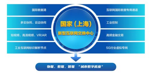 上海新型互聯(lián)網(wǎng)交換中心試點(diǎn)獲批 臨港新片區(qū)迎來數(shù)字基建新引擎